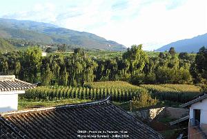 077 - Shaxi